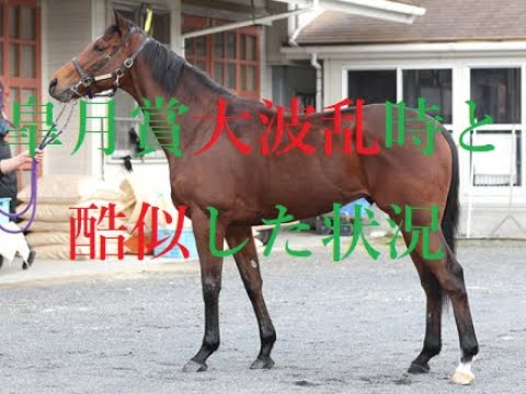 皐月賞 2023 人気馬券は買うな！！抜けた馬おらず前哨戦の評価が重要 ５分でわかる勢力図