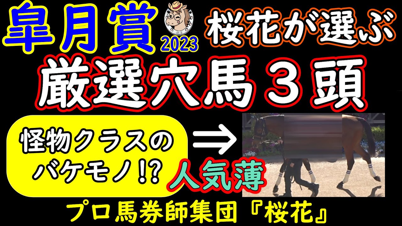 皐月賞2023桜花が選ぶ厳選穴馬３頭！怪物クラスのバケモノかもしれない馬が穴馬の中にいる！大混戦のメンバーだからこそプロ馬券師集団桜花が突出した隠れた実力馬を見抜く！