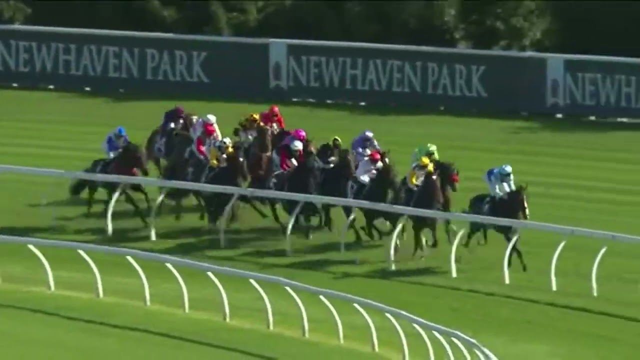 サトノアラジン産駒ペニーウェカがNZオークスからG1連勝！【豪オークス2023】/ Pennyweka【The Star Australian Oaks 2023】