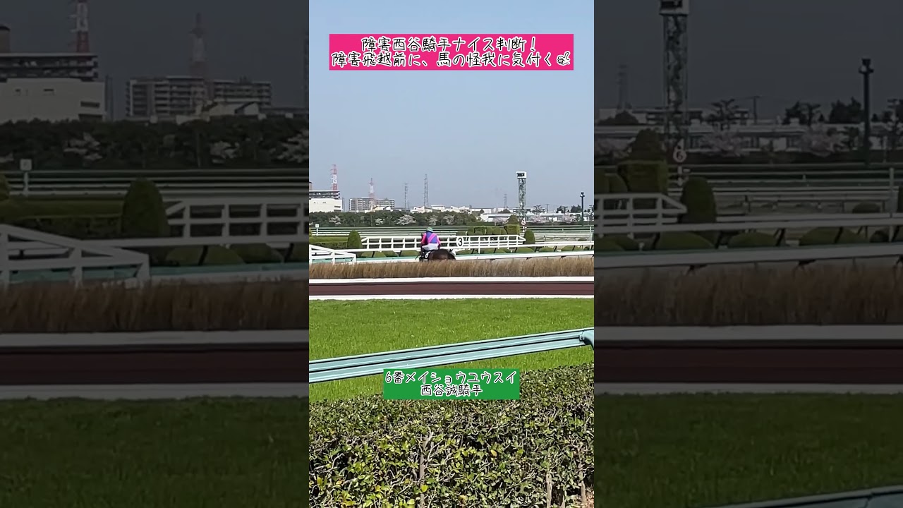 障害西谷騎手、飛越前に馬の怪我に気付いた❗️ナイスプレー✨#shorts