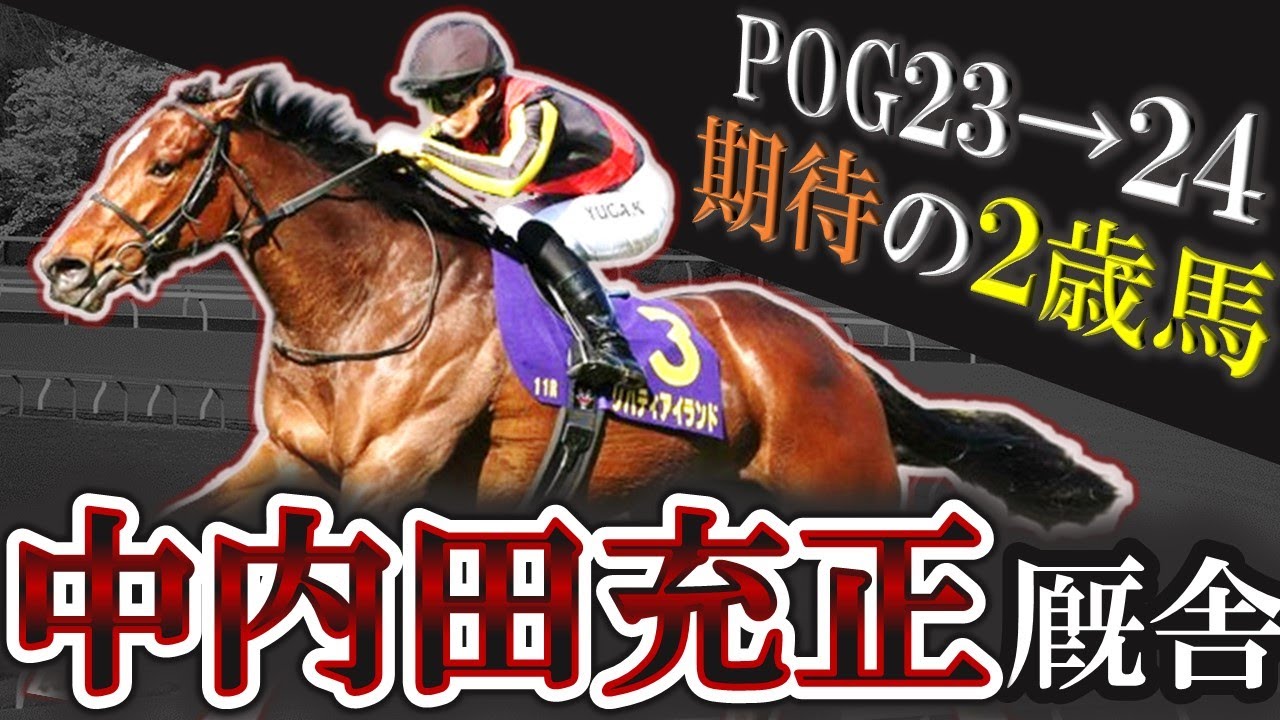 【祝桜花賞制覇】リバティアイランドに続け！中内田充正厩舎 期待の2歳馬を10頭紹介します！【2歳馬】【pog23-24】