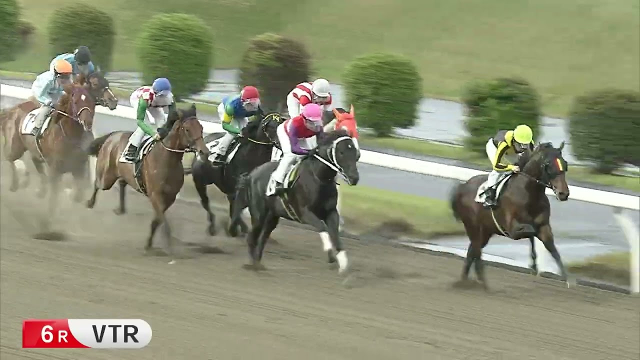 川崎競馬ダイジェスト（2023年4月7日）