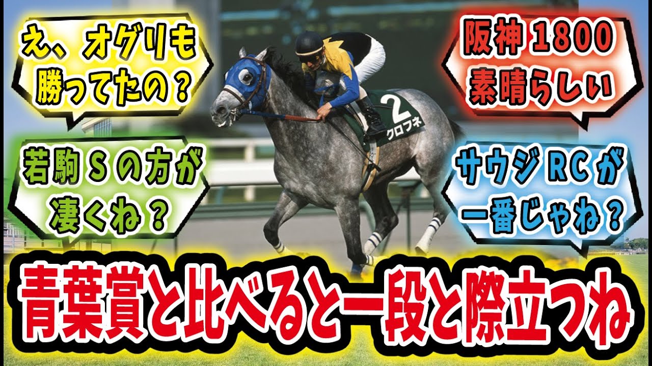 【競馬の反応集】「史上最高の出世レース、毎日杯」に対するみんなの反応集
