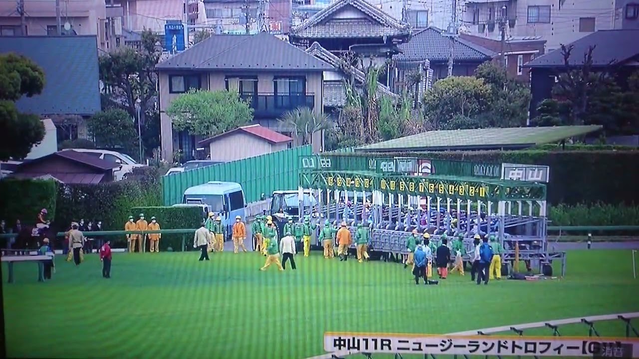 20230408 第41回ニュージーランドトロフィー(G2・NHKマイルCTR)【無敗の2歳王者ドルチェモア、今年初戦。】
