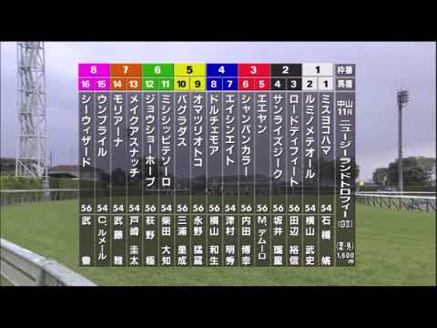 【第41回 ニュージーランドトロフィ＜NHKマイルC・TR＞】R5.4/8 （ＧⅡ／中山・芝1600ｍ ﾗｼﾞｵ実況版）