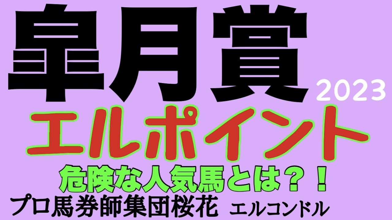 プロ馬券師集団桜花エルコンドル氏の皐月賞2023エルポイント！！皐月賞の重要な3つのポイントとは？！そこから導き出される注目馬と危険な人気馬とは？