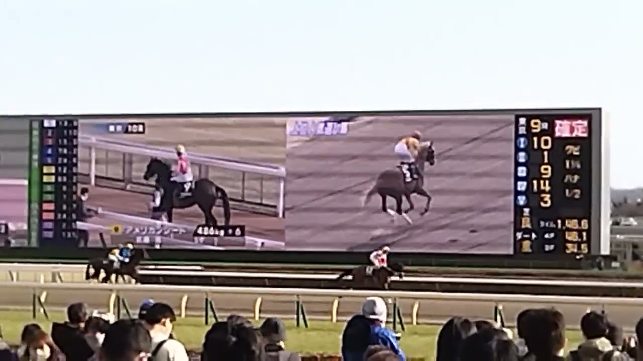 東京10レース バレンタインステークス本馬場入場