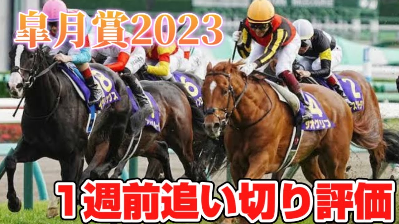 皐月賞2023 一週前追い切り評価