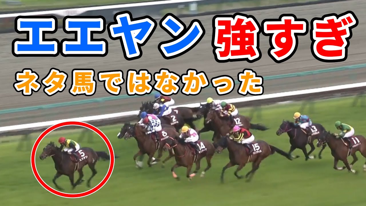 【ニュージーランドトロフィー】エエヤン強すぎワロタ