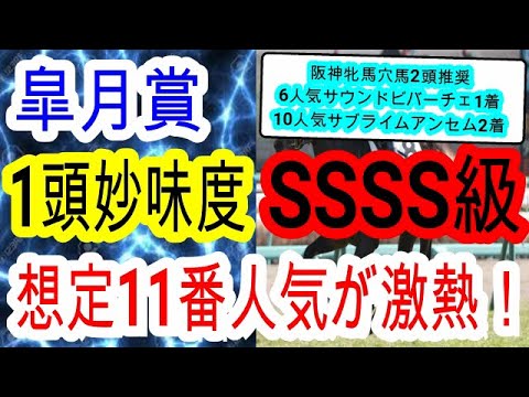 【競馬予想】皐月賞2023　先週馬連241倍1点指名！　展開　騎手　コース最高の穴馬を狙え！！