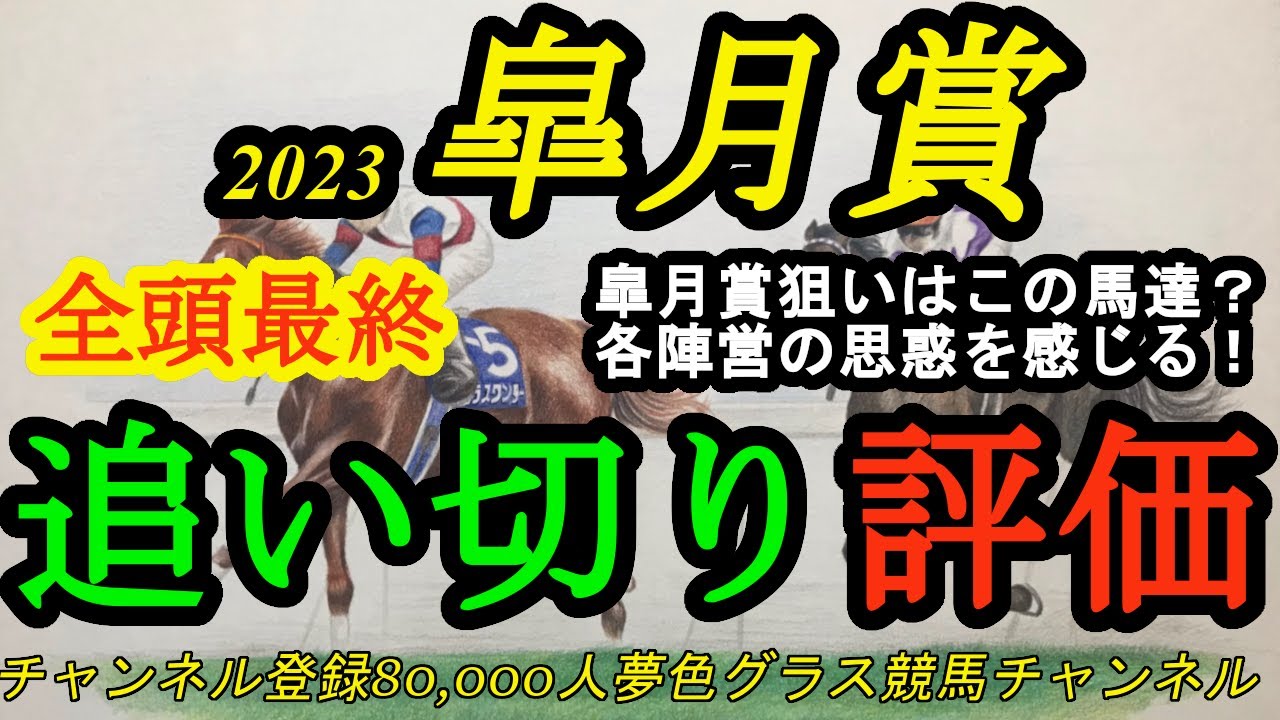 【最終追い切り評価】2023皐月賞全頭！皐月賞を強く狙ってきたのはこの馬たち！？各陣営の思惑も感じる1戦