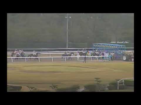新潟県競馬ファンファーレ(特別競走)