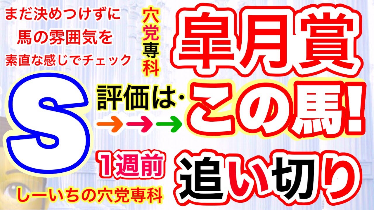 穴党専科【皐月賞2023】しーいちの1週前追い切り評価