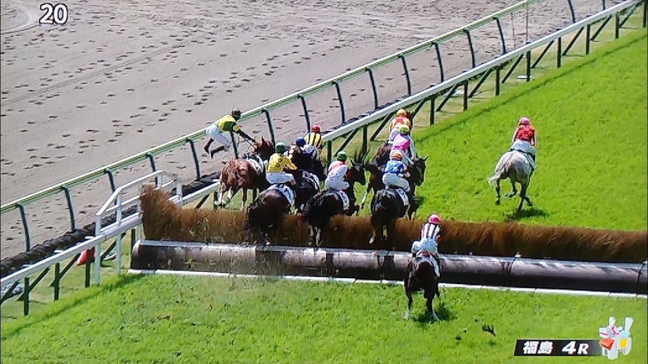 福島4レース障害未勝利 レディステディゴー