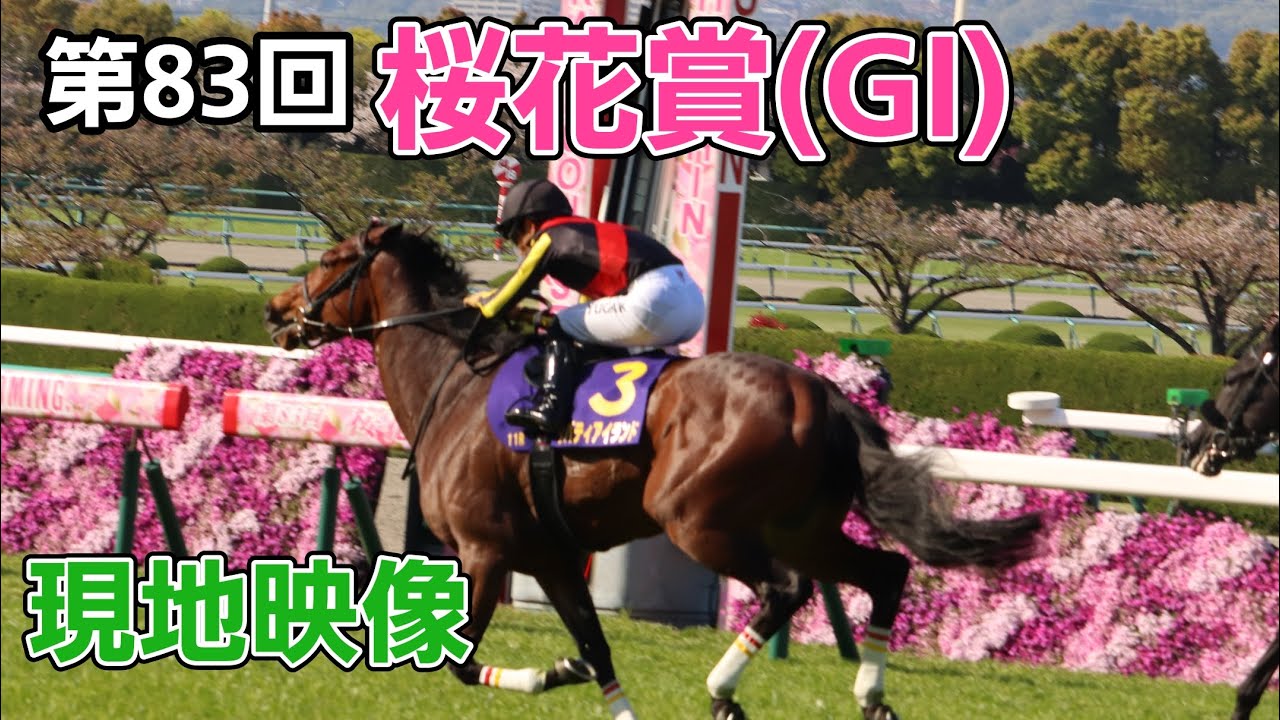 【牝馬三冠路線に化け物あらわる！】GI 桜花賞 2023 現地映像 阪神競馬場にて