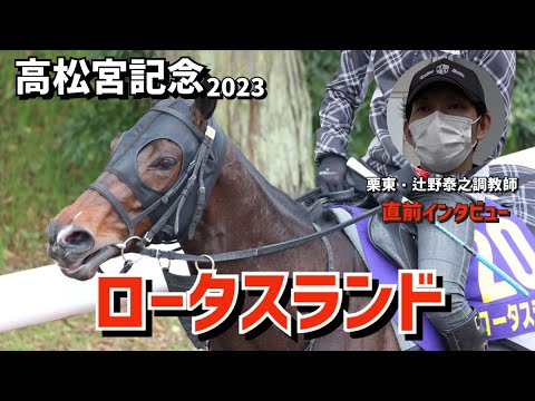 【高松宮記念2023】ロータスランドを管理する栗東・辻野泰之調教師にインタビュー「去年2着というレース。今年はなんとかもう1つ上の着順を目指して頑張ってほしいと思ってます」《東スポ競馬ニュース》