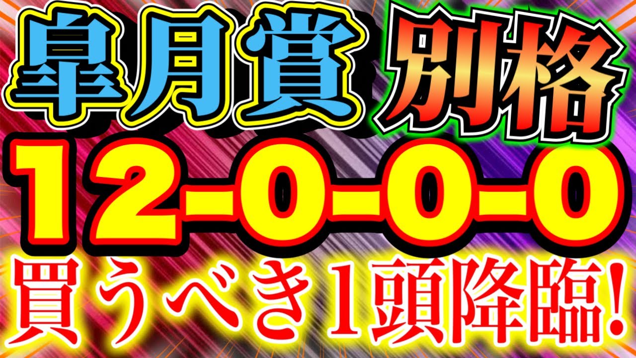 皐月賞 2023（12-0-0-0）この馬は別格！【追い切り推奨馬】８週連続的中！