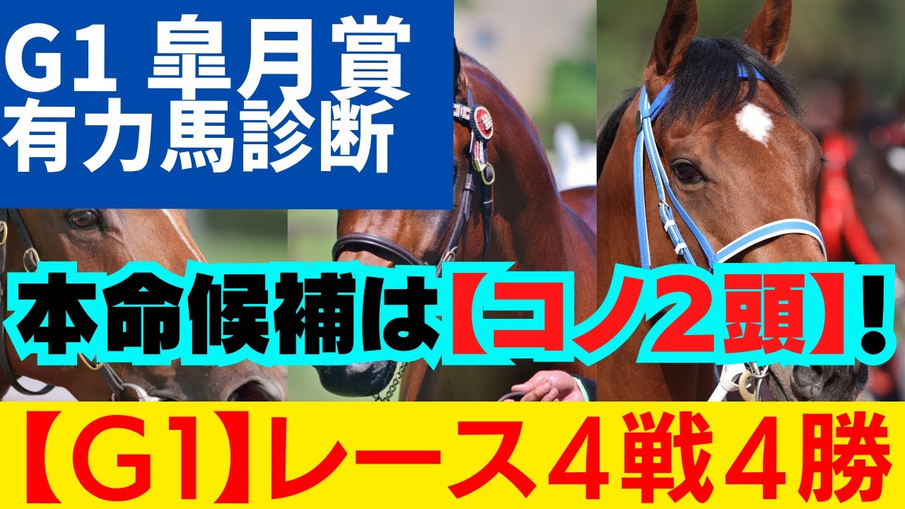 5分で分かる！【G1  皐月賞 2023  有力馬診断】『本命候補』のS評価はコノ２頭です！G1レース予想は、現在4戦4勝🎯G1レース:桜花賞『S➡A決着』大阪杯『S➡S決着』