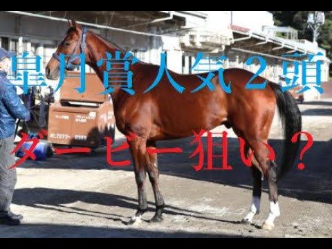 皐月賞 2023 ２頭消えて大波乱！！ソールオリエンス大外ぶんまわしで不発 ファントムシーフはメイチの仕上げなし？