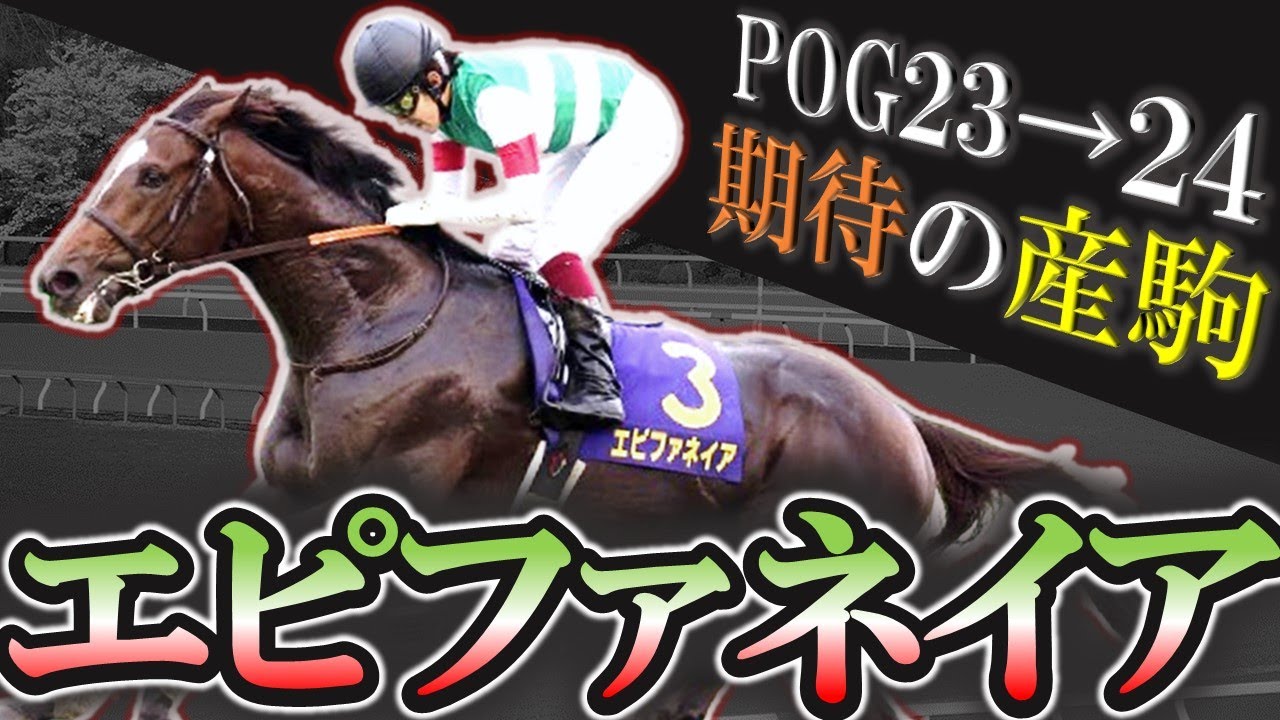 【2歳馬】クラシックを狙い撃ち！エピファネイア期待の産駒を10頭紹介します！【pog23-24】