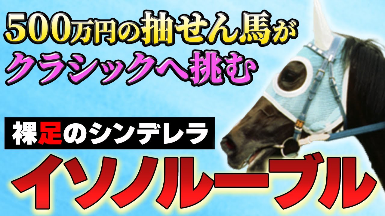 【競馬】小規模牧場産まれの抽せん馬によるシンデレラストーリー・イソノルーブル