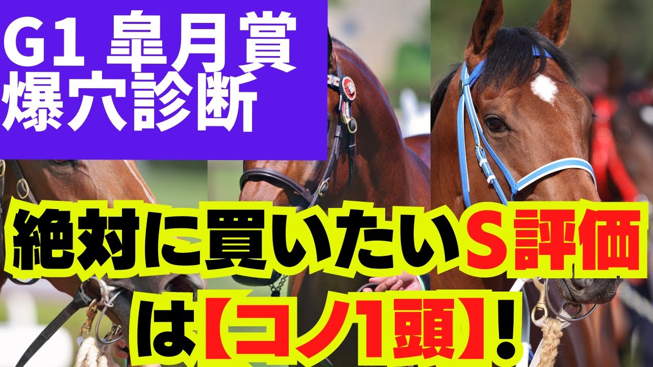 3分で分かる！【G1  皐月賞 2023  爆穴診断】『絶対に買いたい』Ｓ評価はコノ１頭です！G1レース予想は、現在4戦4勝🎯