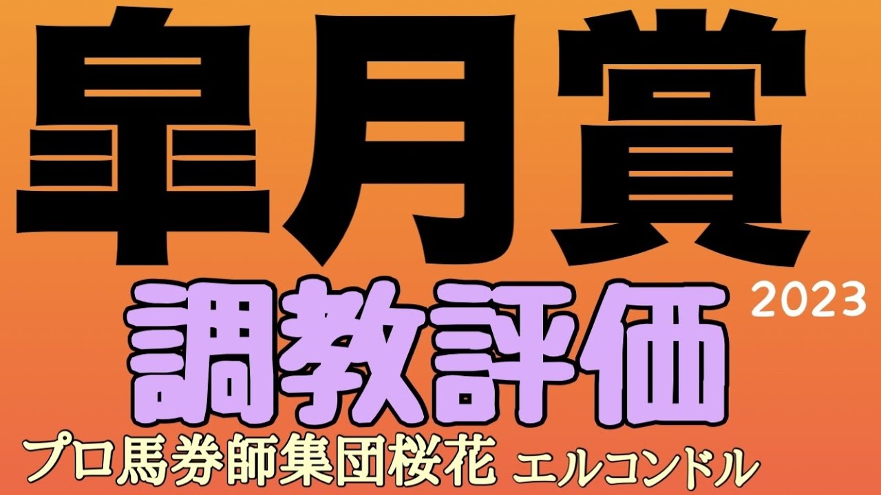 プロ馬券師集団桜花エルコンドル氏の皐月賞2023調教評価！！さぁ今年最初のクラッシック初戦が近づいてきた！人気各馬の状態は？！出走馬全頭の評価やいかに！