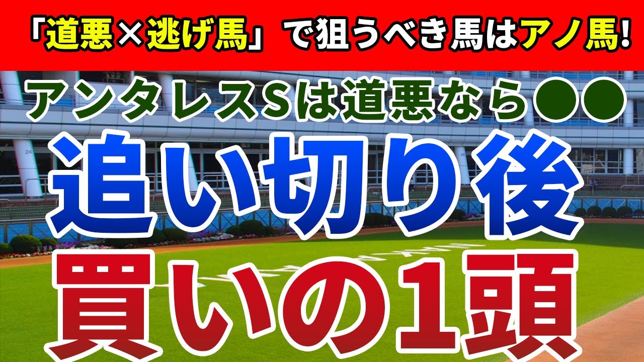 アンタレスステークス2023 追い切り後【買いの1頭】公開！快速馬の作る展開考察で好走馬を絞り込む！馬場とペースを味方に激走する一頭は？