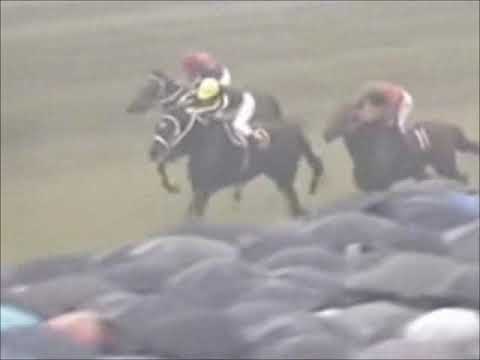 1980年 皐月賞  ハワイアンイメージ／日本ダービー  オペックホース
