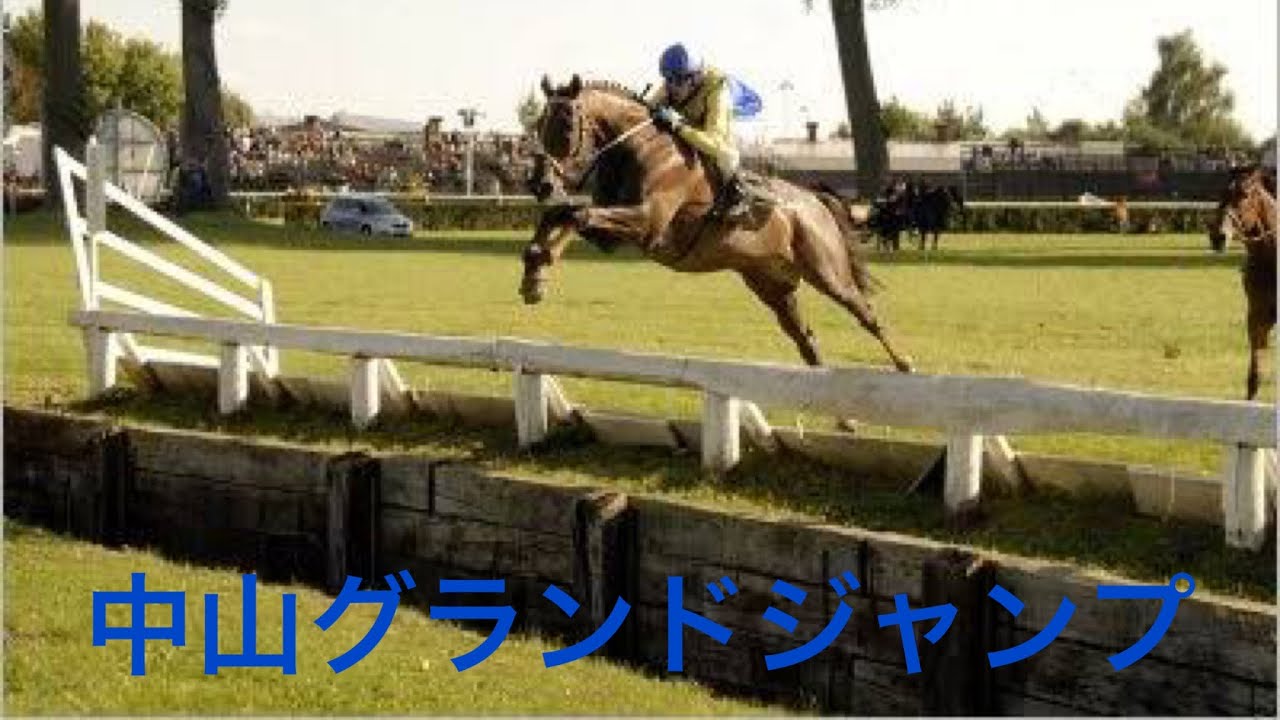 2023 中山グランドジャンプ　デブ金競馬