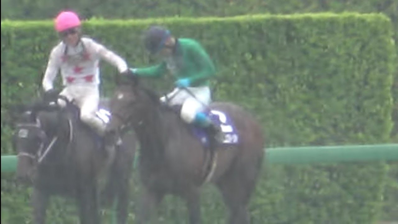 【中山グランドジャンプ2023】ウィニングラン 現地映像 イロゴトシ