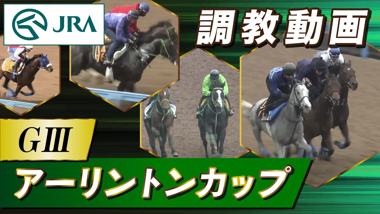 【調教動画】2023年 アーリントンカップ｜JRA公式