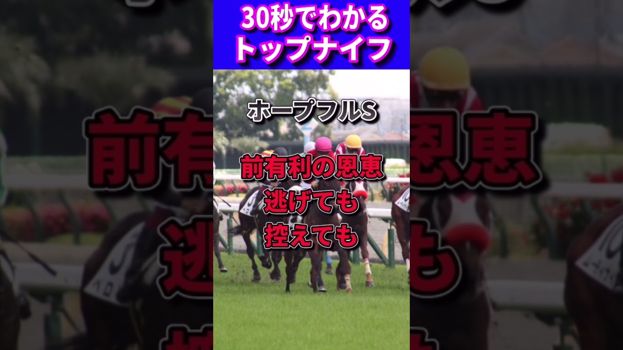 【皐月賞2023】30秒でわかるトップナイフ