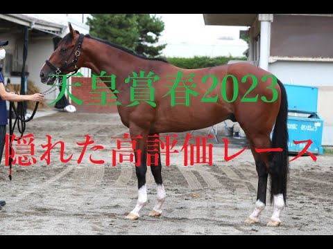 天皇賞春 2023 G１の結果は参考にするな！！評価が必要な意外な前哨戦 ５分でわかる長距離路線