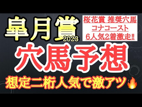 【皐月賞2023】穴馬予想！出走メンバーから想定される流れ、そして中山の馬場状態から2頭を厳選し公開！想定二桁人気で激アツ！