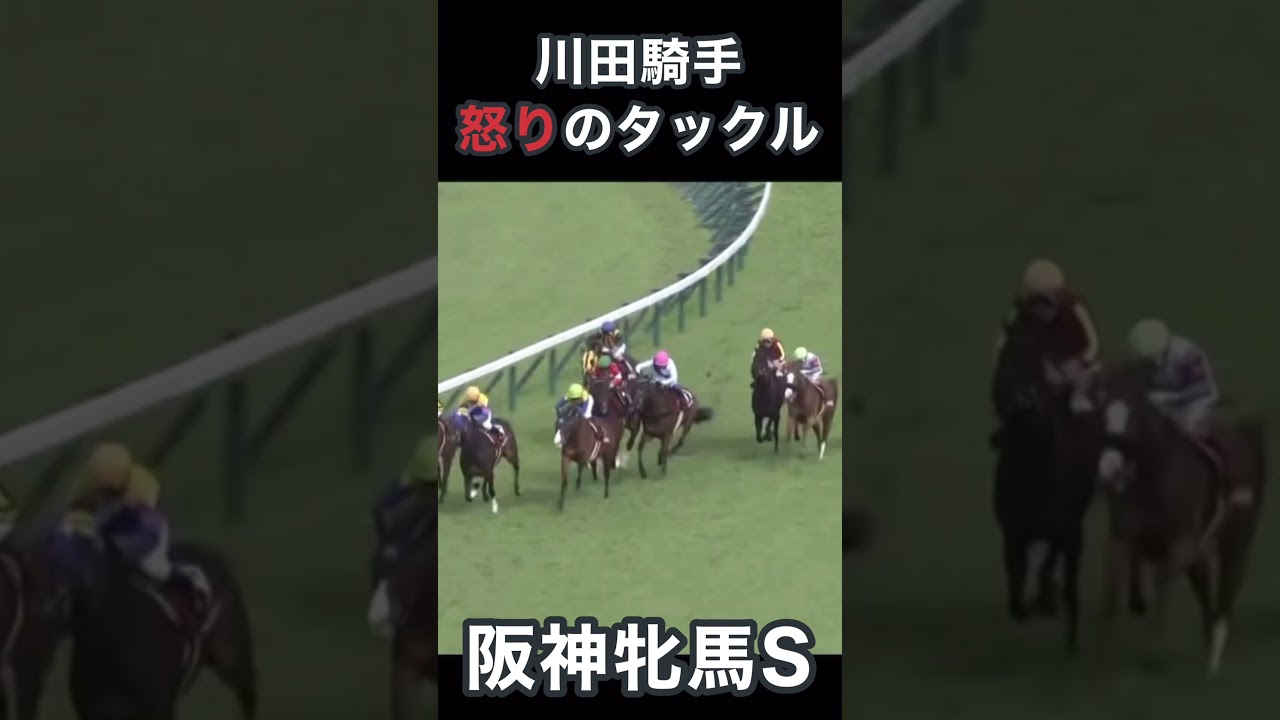川田騎手怒りのタックル、阪神牝馬ステークス