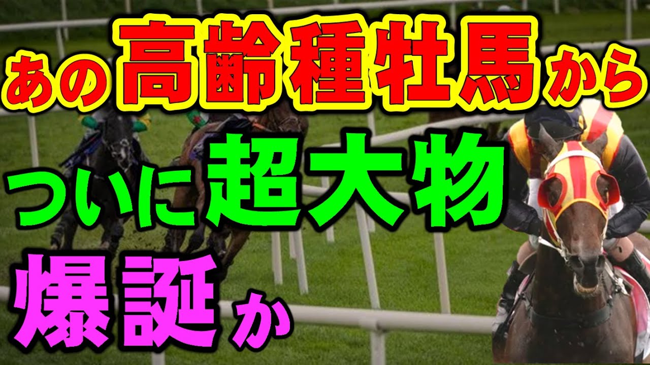 【皐月賞】あの晩年種牡馬、いよいよ超大物が誕生するかも