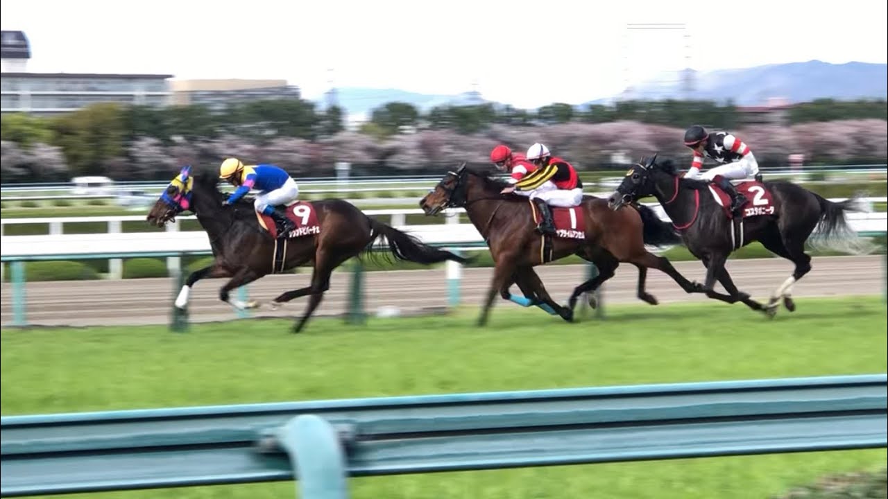 【現地】サウンドビバーチェ 2023 阪神牝馬S