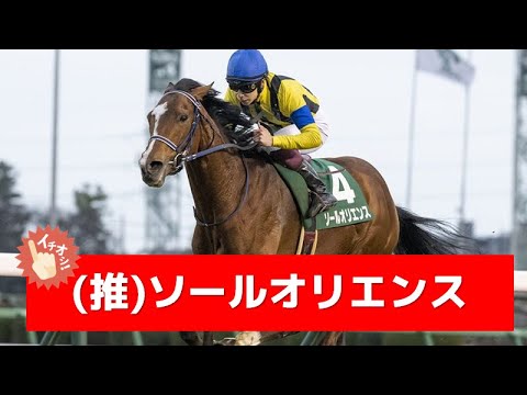 追い切り徹底解説！【皐月賞2023】ファントムシーフ、ソールオリエンスなどの状態はどうか？調教S評価は2頭！