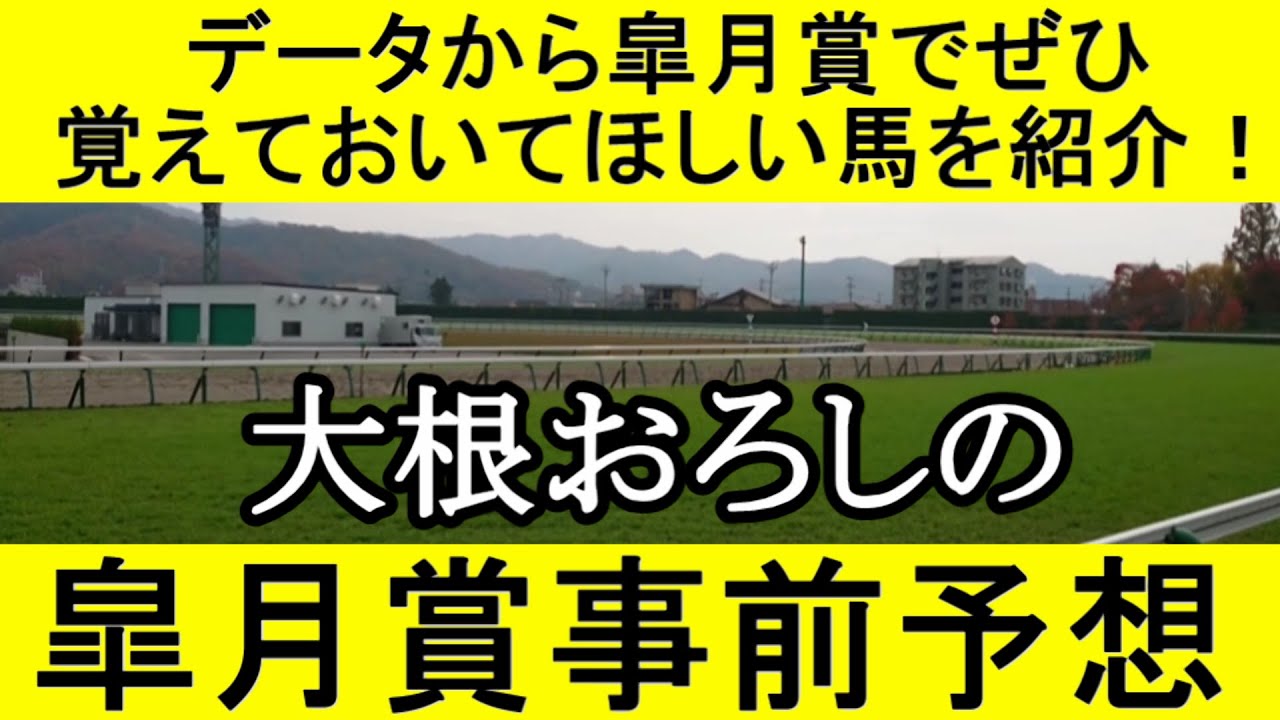 【競馬予想】皐月賞2023をデータから徹底予想【大根おろし】