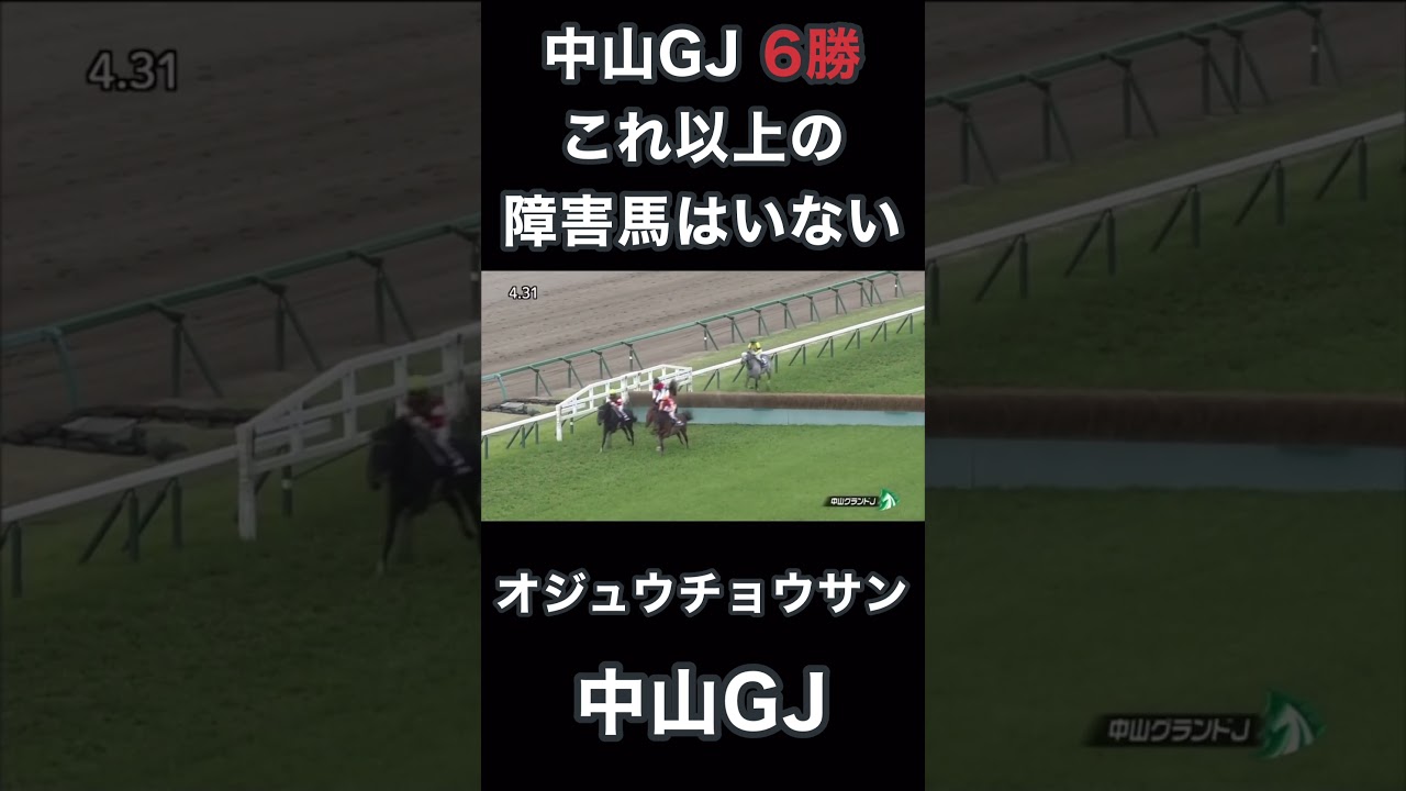 中山GJ6勝これ以上の障害馬はもう出てこない！？オジュウチョウサン、中山グランドジャンプ