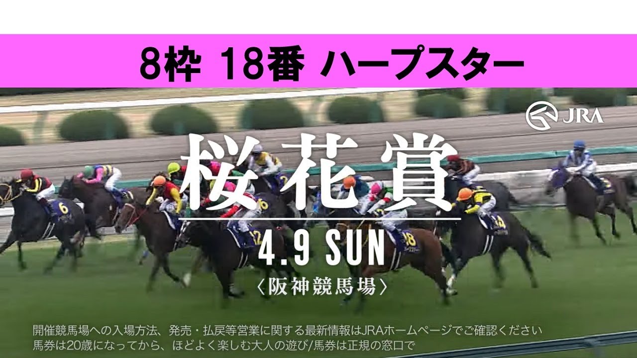 28.桜花賞 カルタも色々ありまして・・・