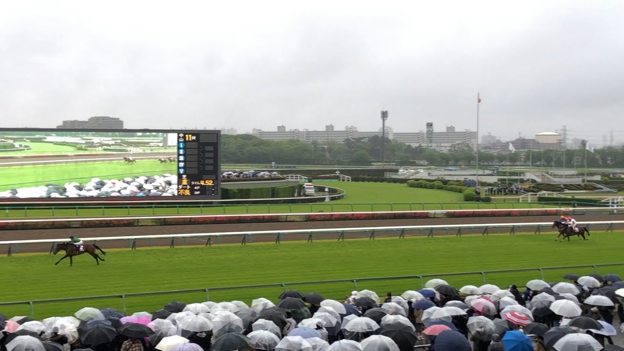 【現地】イロゴトシ 黒岩悠 2023 中山グランドジャンプ