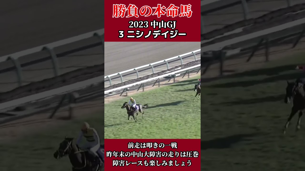 【might be a HERO 勝負の本命馬】2023 ニシノデイジー #競馬 #競馬予想 #g1 #中山グランドジャンプ