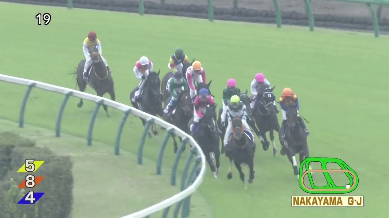 2023 04 15 中山11R 中山グランドジャンプ(J.G1) イロゴトシ(黒岩悠)