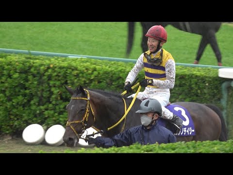 【2023 中山グランドジャンプ】敗戦後 悔しそうな石神騎手×ニシノデイジー