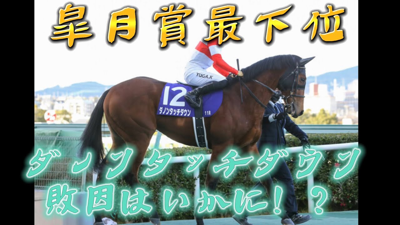 皐月賞18着のダノンタッチダウンのコメント欄が大荒れの模様(泣)