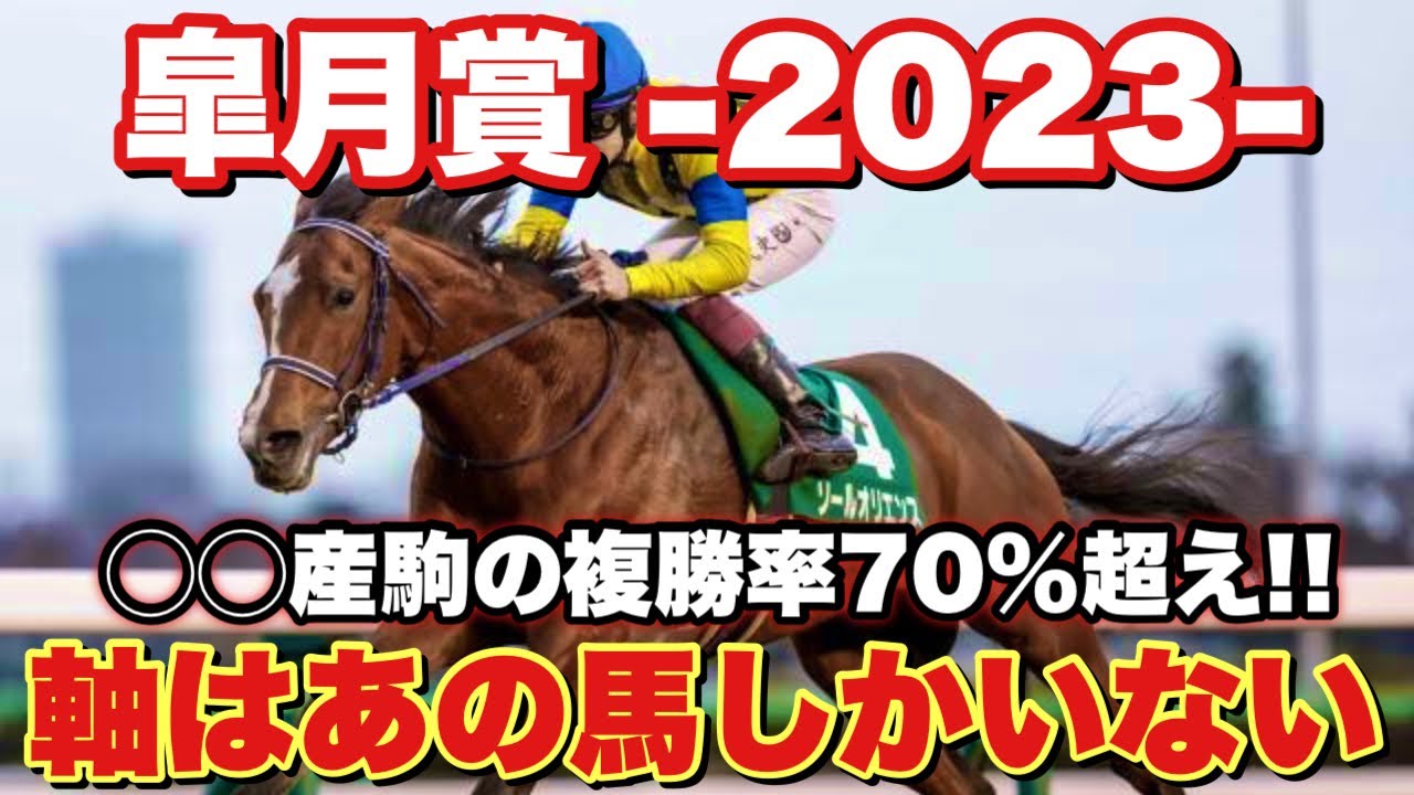 【予想】大混戦でも崩れず走れる馬は！？勝機見えました。