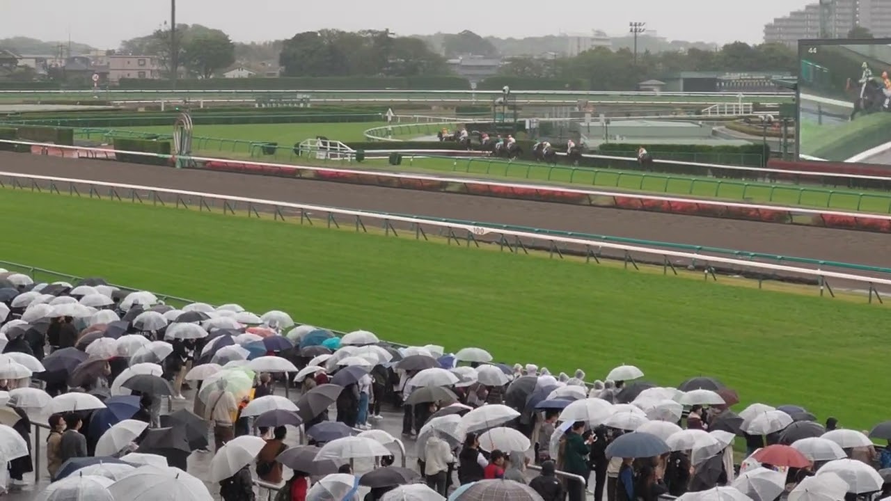 2023/4/15 中山11R 中山グランドジャンプ 芝4250m戦 現地観戦フルバージョン #現地観戦 #中山競馬 #中山グランドジャンプ #中山GJ #中山gj #イロゴトシ #ミッキーメテオ