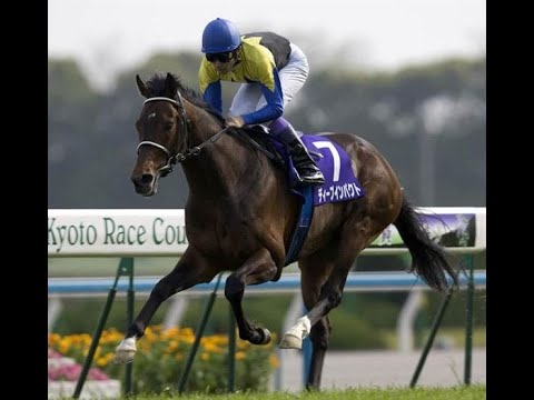 桜花賞コースBC大会50連戦